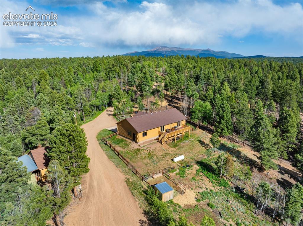 4269 Cedar Mountain Road Divide, CO 80814 - Photo 30 of 39 View from behind the property