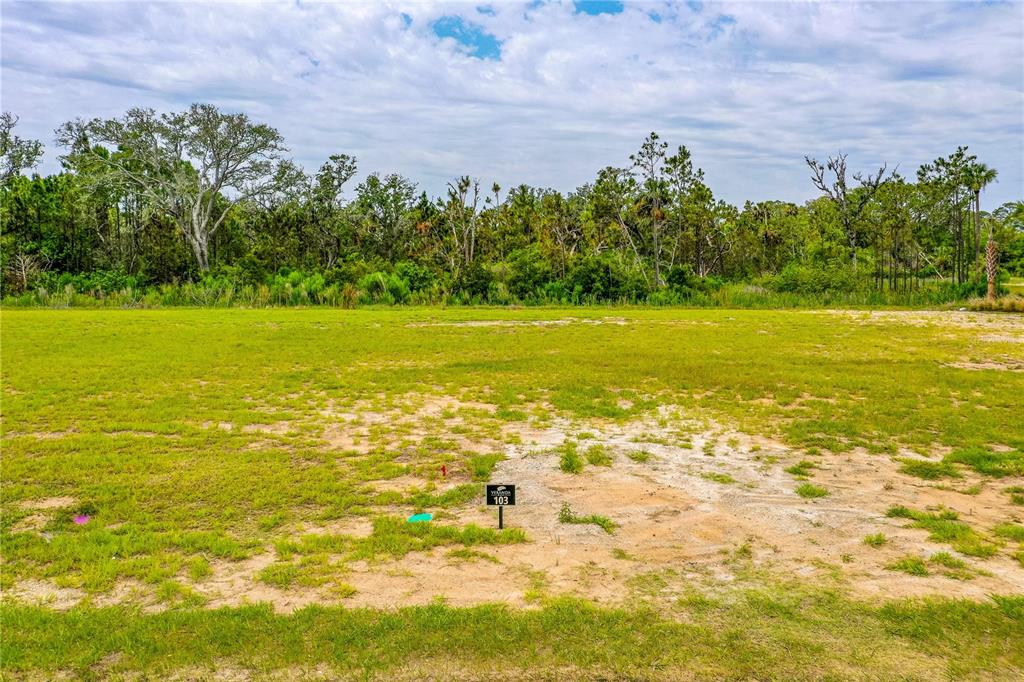 89 Coronado Road Flagler Beach, FL 32136 - Photo 5 of 19 a view of an ocean and a mountain view