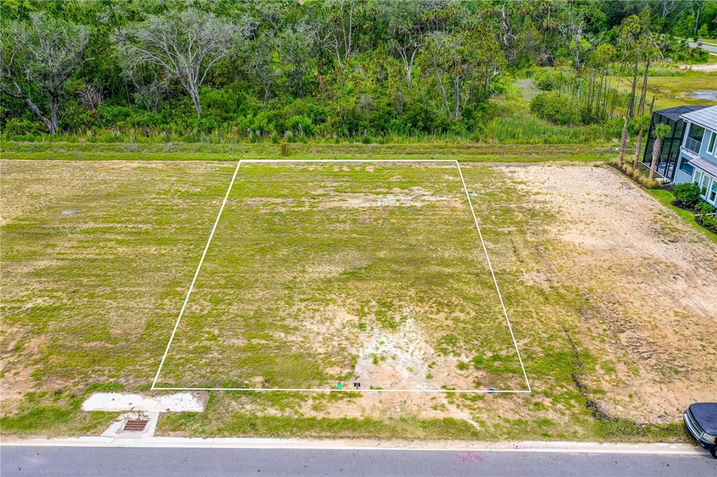89 Coronado Road Flagler Beach, FL 32136 - Photo 7 of 19 a view of a yard