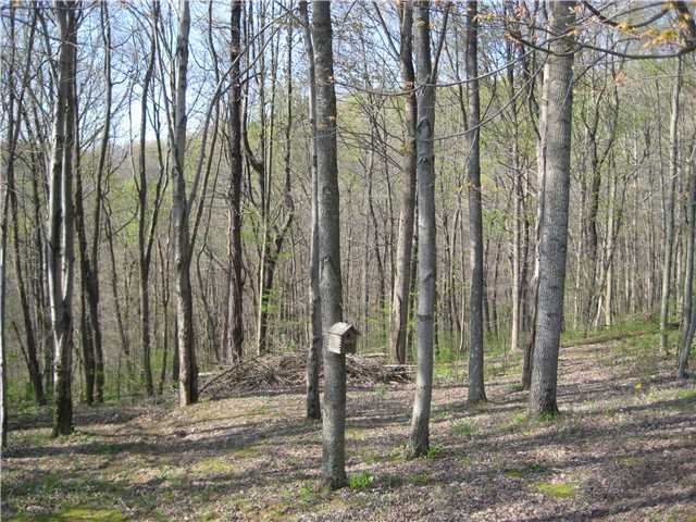 4476 Paradise Road Sugar Grove, OH 43155 - Photo 13 of 16 Gallery Image 13