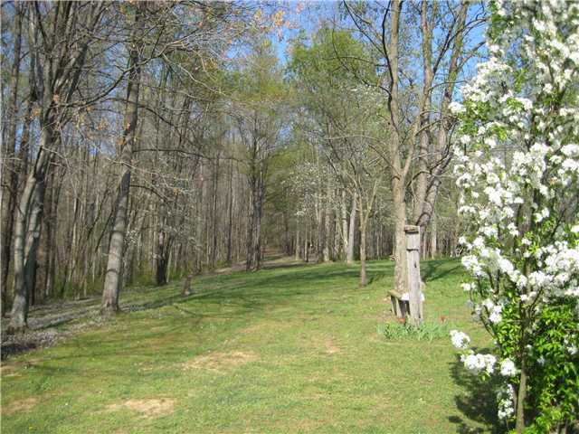 4476 Paradise Road Sugar Grove, OH 43155 - Photo 14 of 16 Gallery Image 14