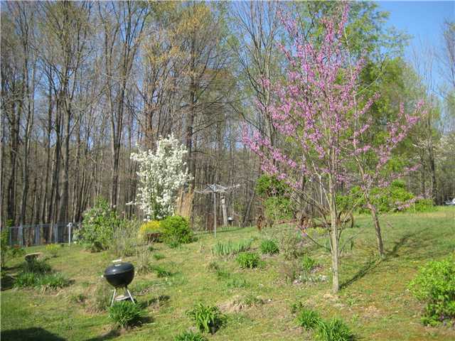 4476 Paradise Road Sugar Grove, OH 43155 - Photo 15 of 16 Gallery Image 15