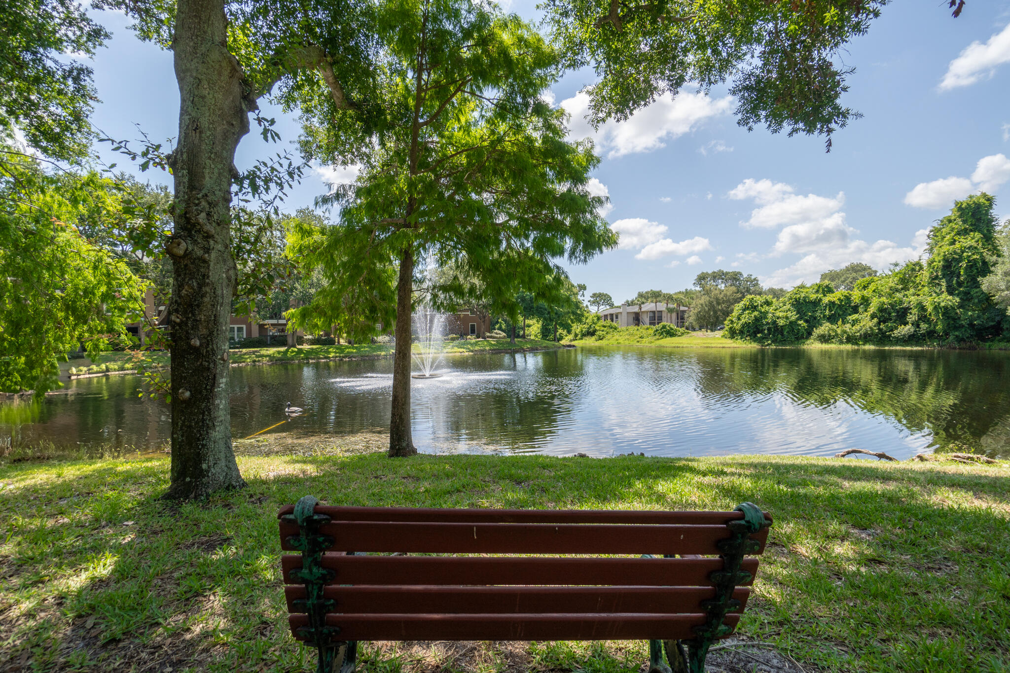 7667 North Wickham Road, Unit 511 Melbourne, FL 32940 - Photo 3 of 48 a wooden bench sitting next to a lake