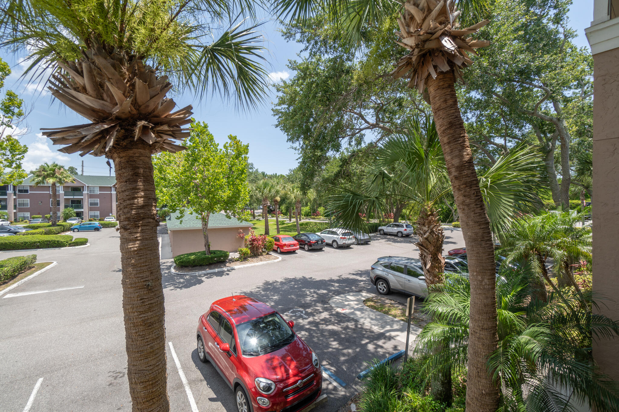 7667 North Wickham Road, Unit 511 Melbourne, FL 32940 - Photo 30 of 48 a row of palm trees sitting in a yard
