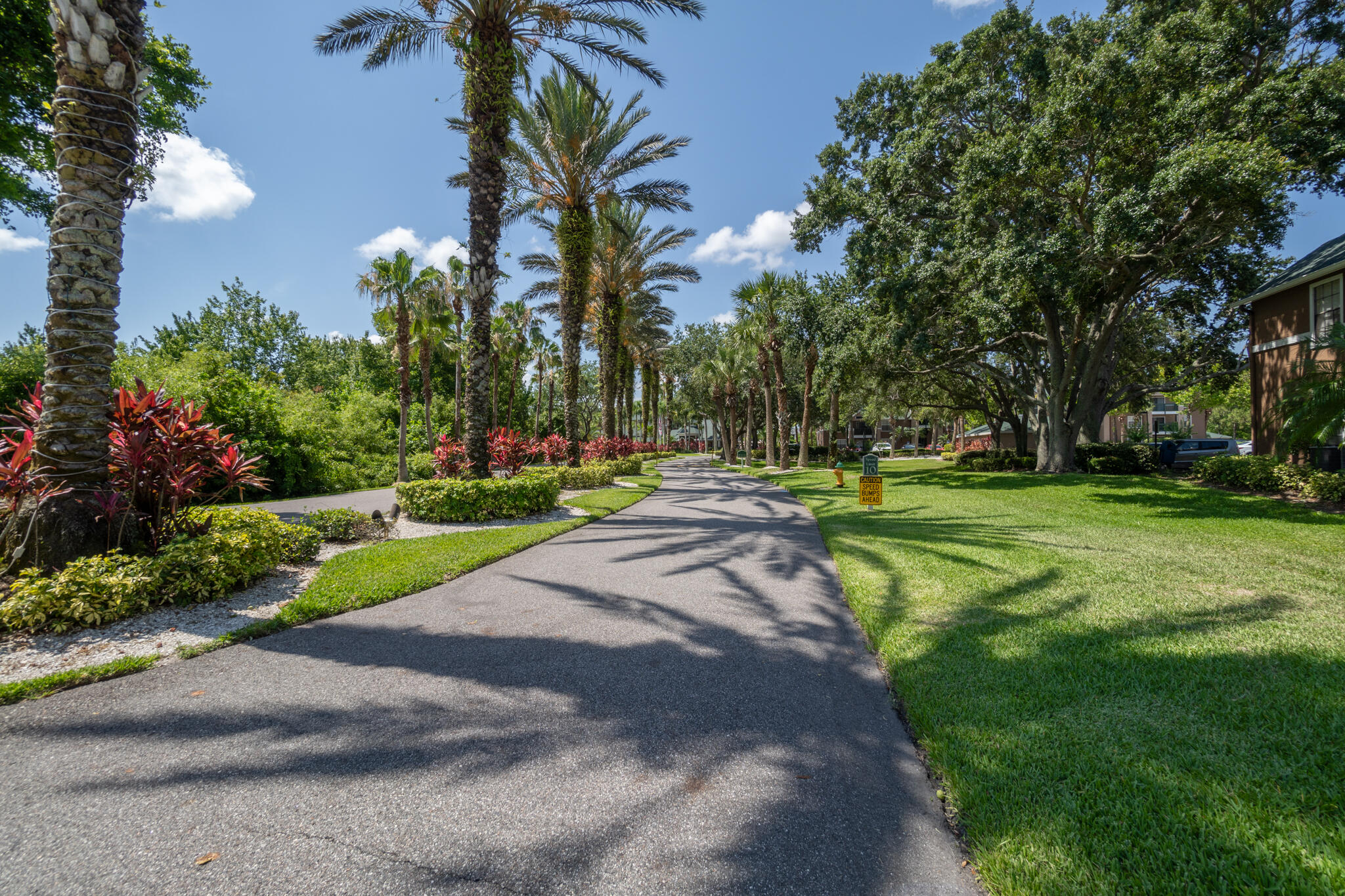 7667 North Wickham Road, Unit 511 Melbourne, FL 32940 - Photo 9 of 48 a view of a park with palm trees