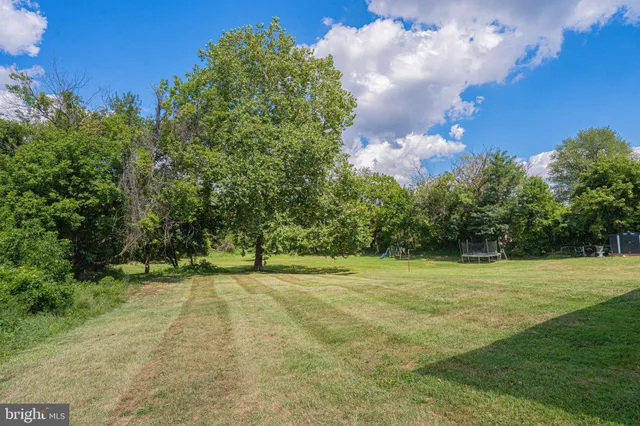 a view of a trees with a big yard