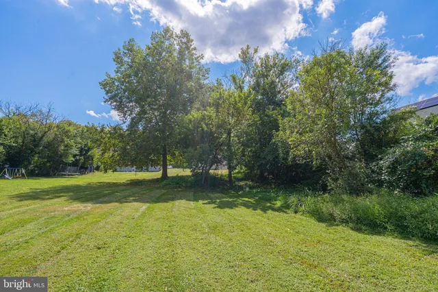 a view of a yard with plants and large trees