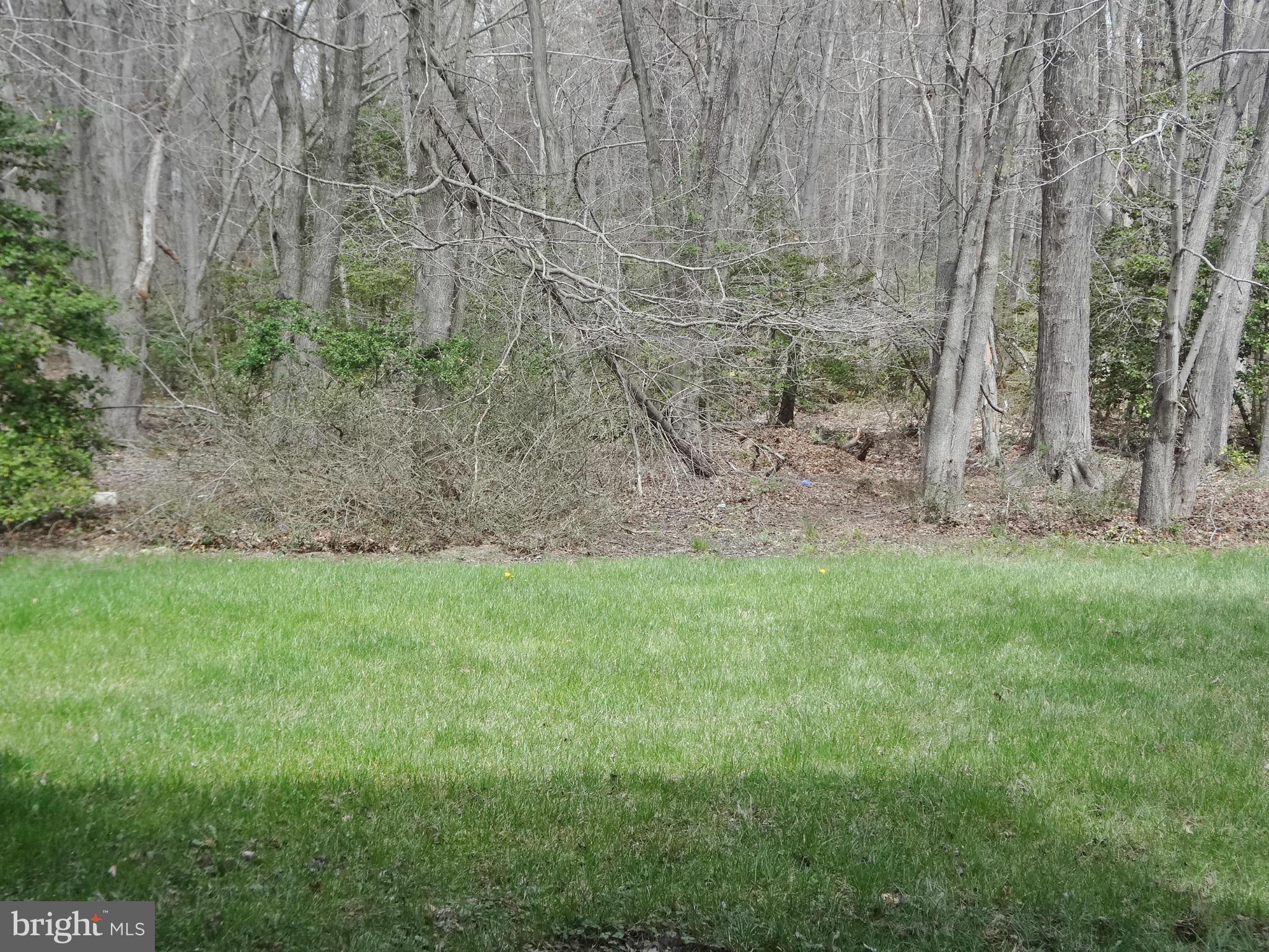 8500 Triple Crown Road Bowie, MD 20715 - Photo 20 of 21 Exterior (Rear)