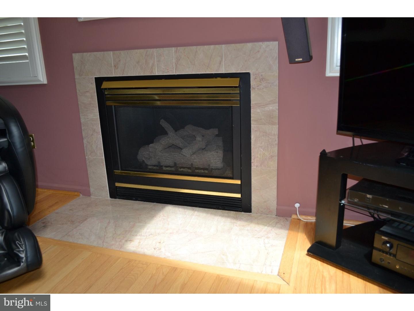 413 Chestnut Street Ridley Park, PA 19078 - Photo 13 of 25 Fireplace