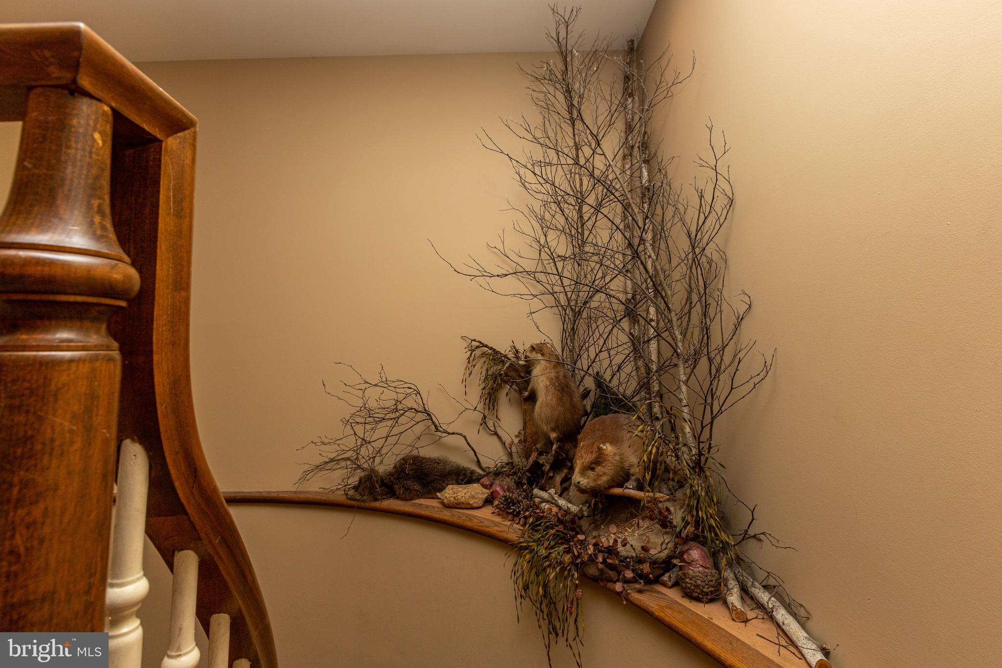 205 Stokes Road Shamong, NJ 08088 - Photo 18 of 44