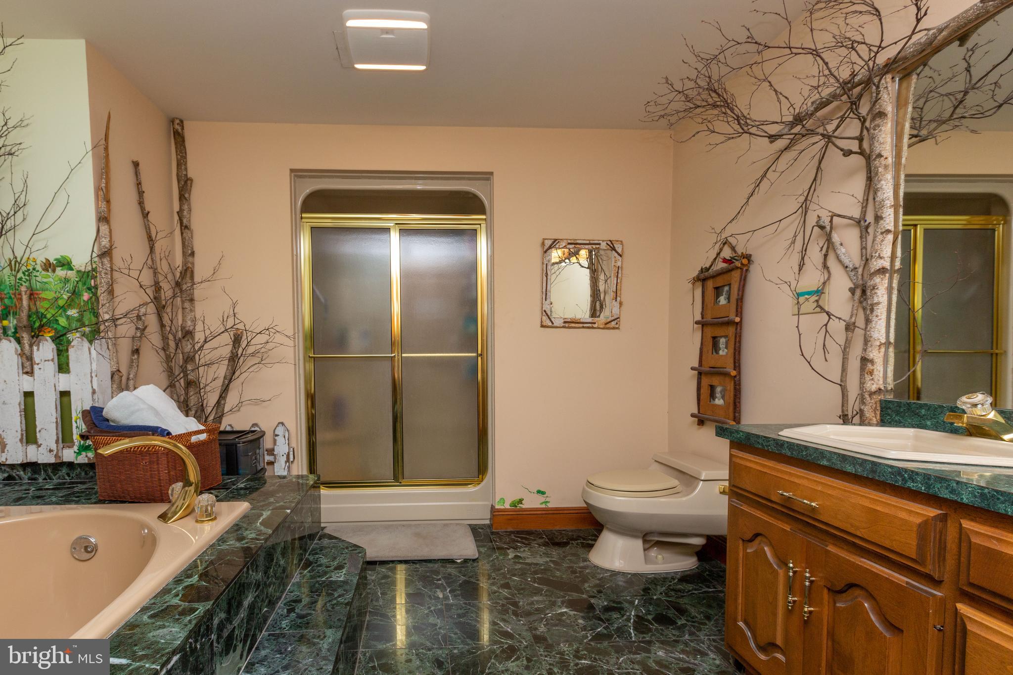 205 Stokes Road Shamong, NJ 08088 - Photo 24 of 44