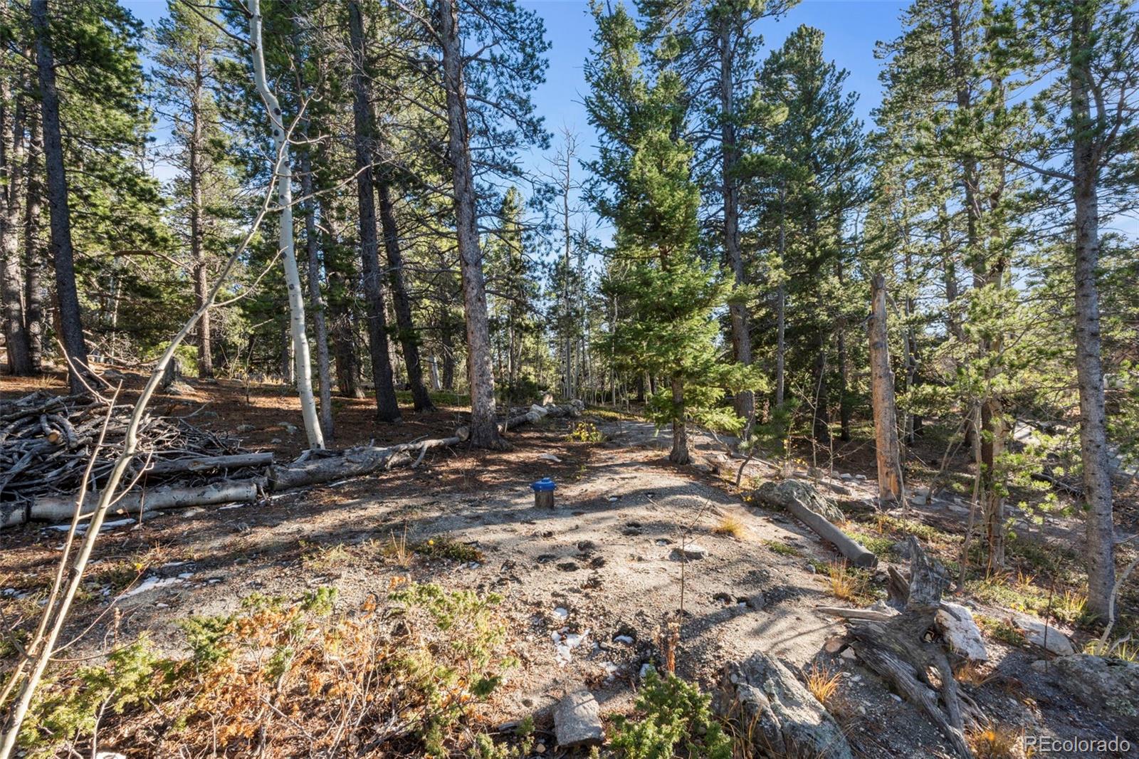 86 Severance Lodge Road Black Hawk, CO 80422 - Photo 12 of 14 a view of a yard with plants and trees