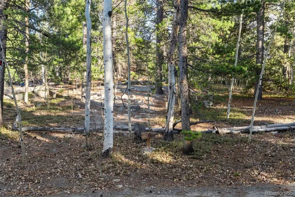 $125,000 | 86 Severance Lodge Road, Black Hawk, CO 80422