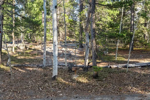 $125,000 | 86 Severance Lodge Road, Black Hawk, CO 80422