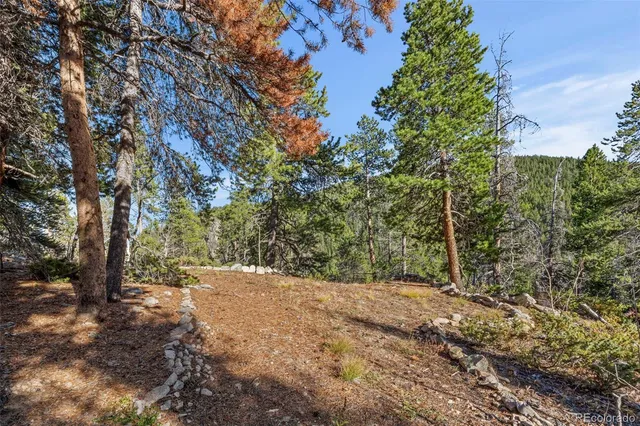 a view of backyard with green space