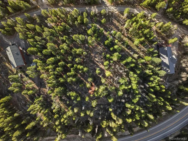 a view of a tree