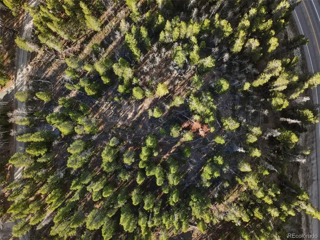 a picture of flowers