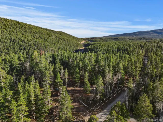 a view of yard with trees