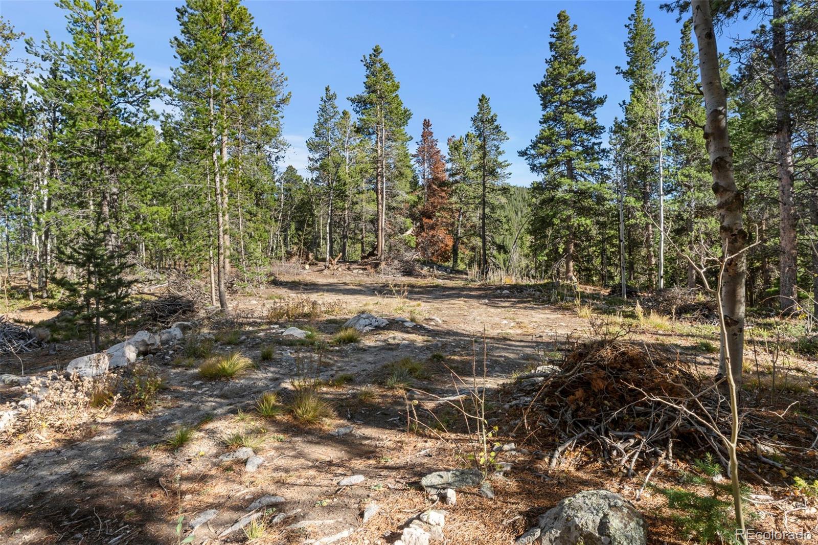 86 Severance Lodge Road Black Hawk, CO 80422 - Photo 9 of 14 a view of yard with trees
