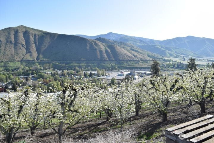 0 Kennedy Road Cashmere, WA 98815 - Photo 11 of 14 a view of a backyard with trees