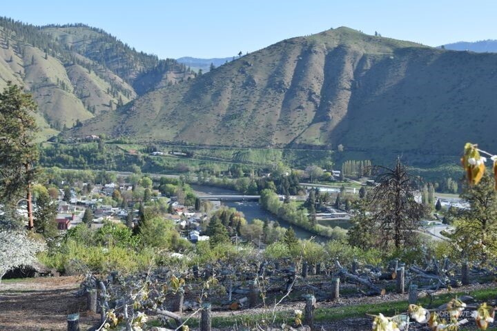 0 Kennedy Road Cashmere, WA 98815 - Photo 13 of 14 aerial view of a house with a yard and mountain view in back