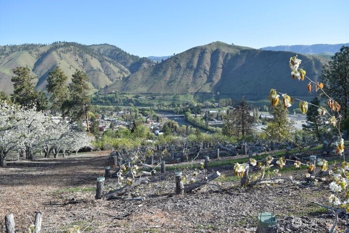 0 Kennedy Road Cashmere, WA 98815 - Photo 14 of 14 a view of a lot of trees and mountain in the background