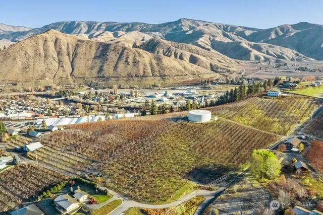 a view of a house with a yard and a large trees