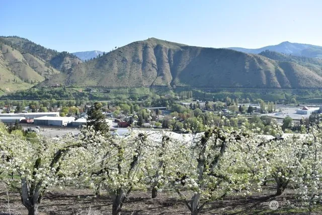 a view of a backyard with trees