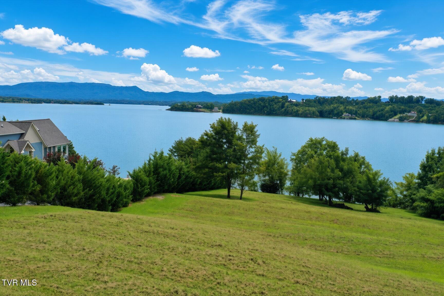 Lot 20 Trotline Road, Unit 2 Dandridge, TN 37725 - Photo 10 of 25 2 (8)