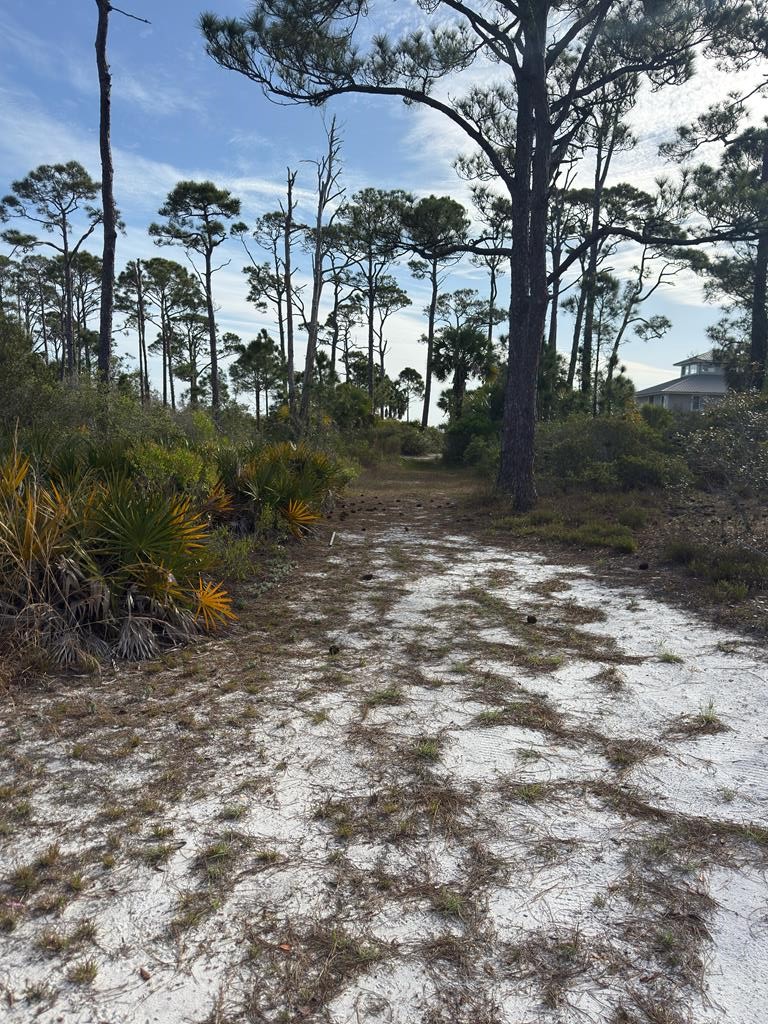 6422 Cape San Blas Road Port St. Joe, FL 32456 - Photo 70 of 84