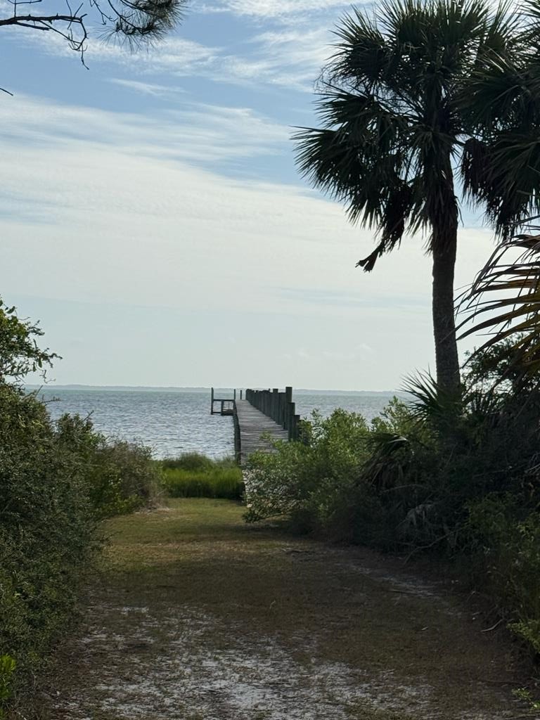 6422 Cape San Blas Road Port St. Joe, FL 32456 - Photo 71 of 84