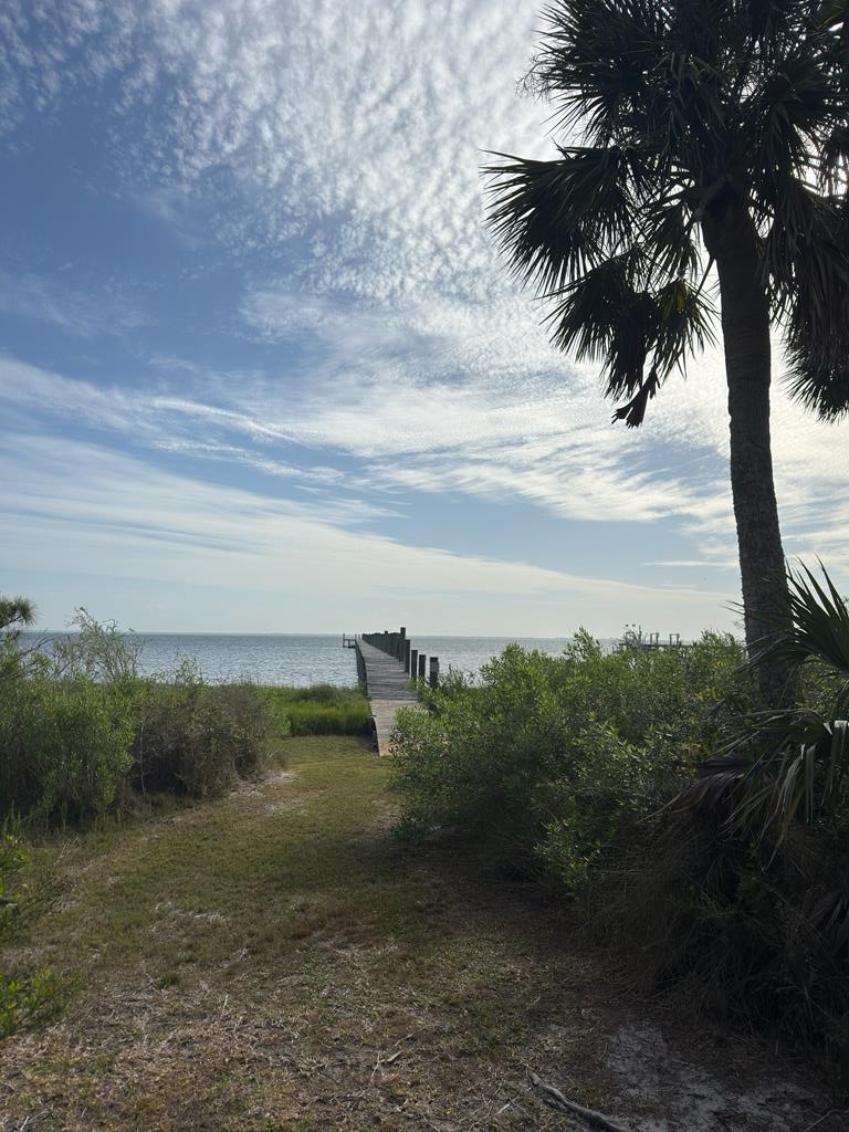6422 Cape San Blas Road Port St. Joe, FL 32456 - Photo 72 of 84
