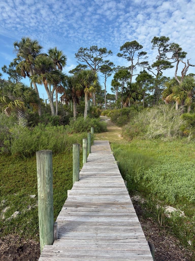 6422 Cape San Blas Road Port St. Joe, FL 32456 - Photo 73 of 84