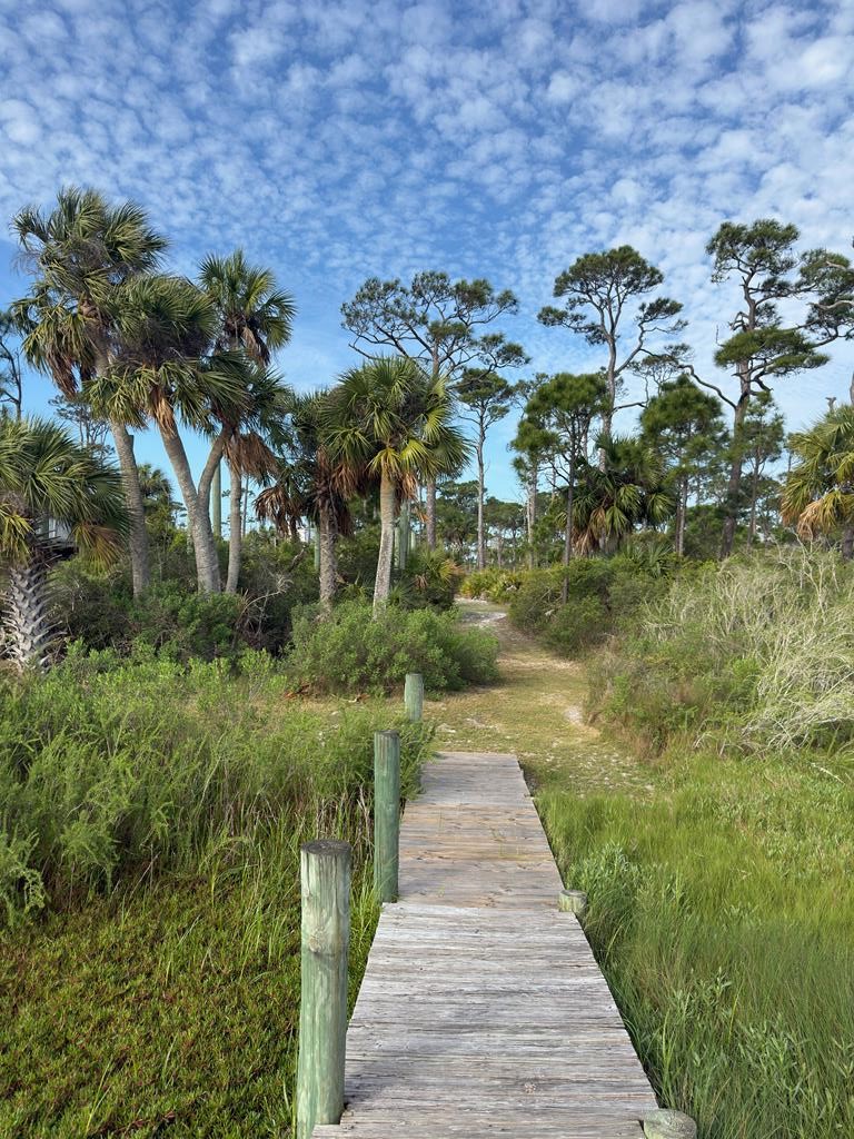6422 Cape San Blas Road Port St. Joe, FL 32456 - Photo 74 of 84