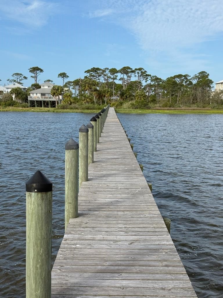 6422 Cape San Blas Road Port St. Joe, FL 32456 - Photo 76 of 84