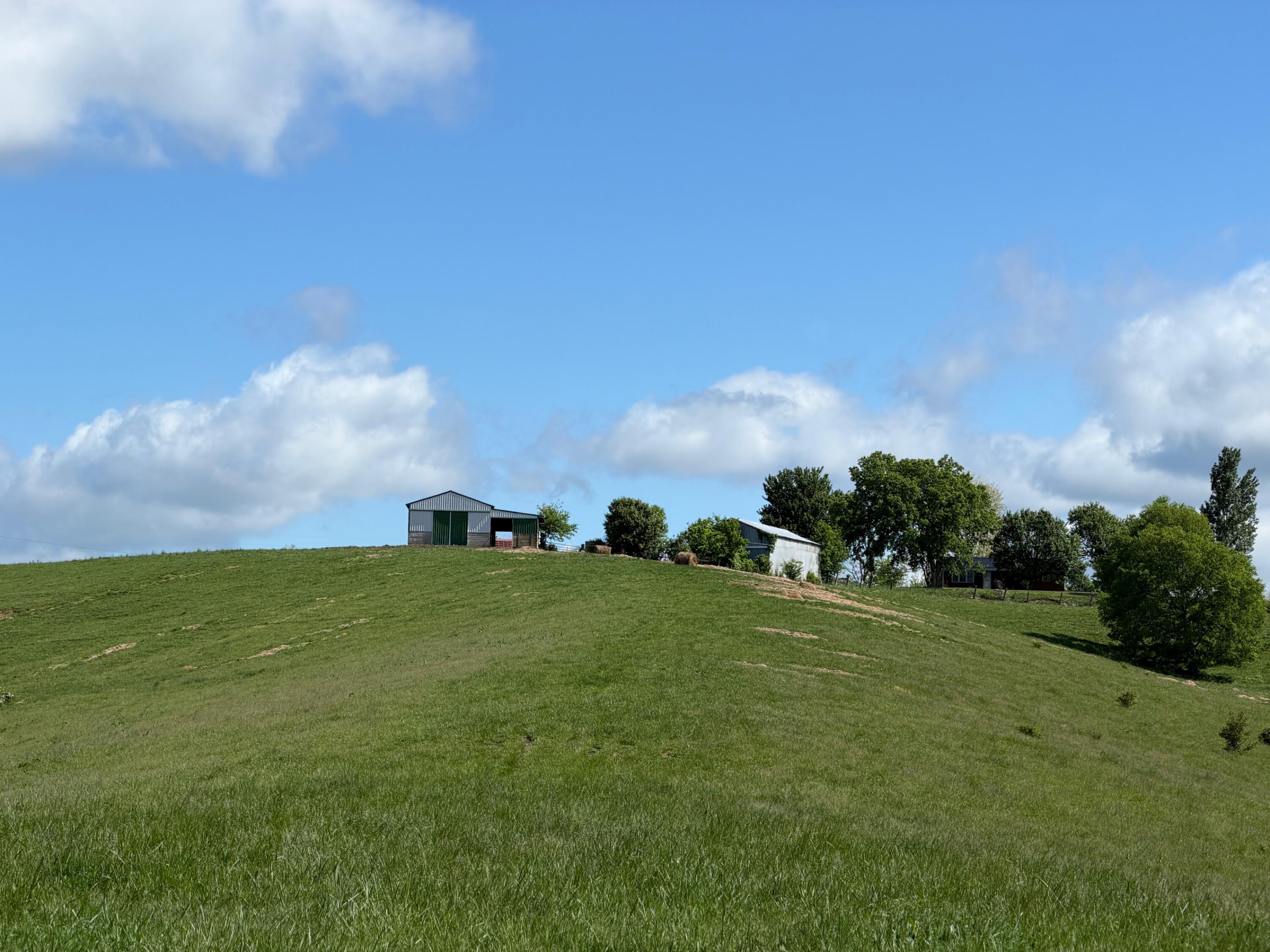 20.99-ac Chipman Ridge Road Williamstown, KY 41097 - Photo 17 of 21