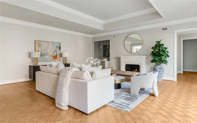 a living room with furniture a fireplace and a potted plant