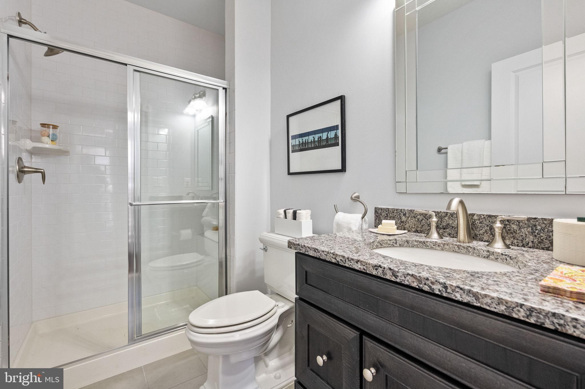 1411 Ridgeview Way Washington, DC 20007 - Photo 12 of 56 a bathroom with a granite countertop sink toilet and shower