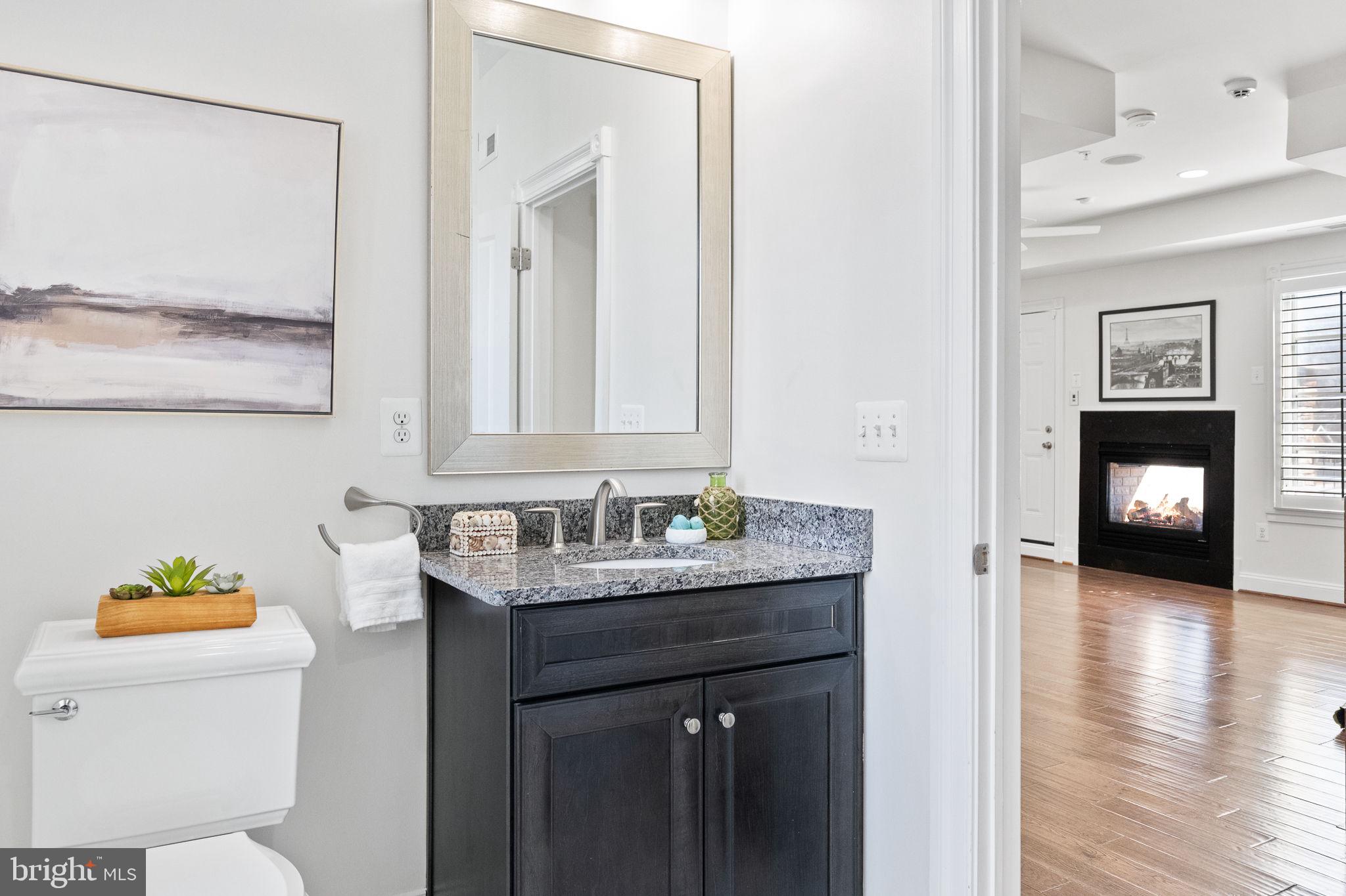1411 Ridgeview Way Washington, DC 20007 - Photo 41 of 56 a bathroom with a granite countertop sink and a mirror