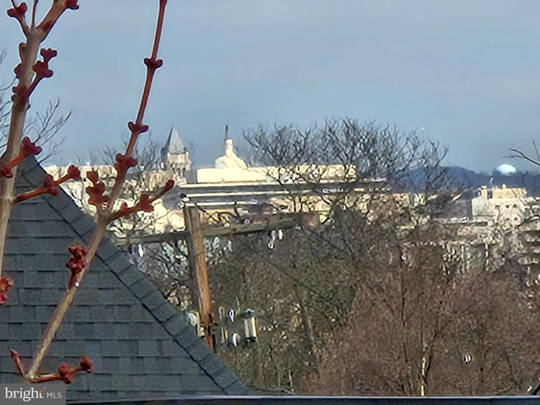 1411 Ridgeview Way Washington, DC 20007 - Photo 48 of 56 a view of balcony and patio