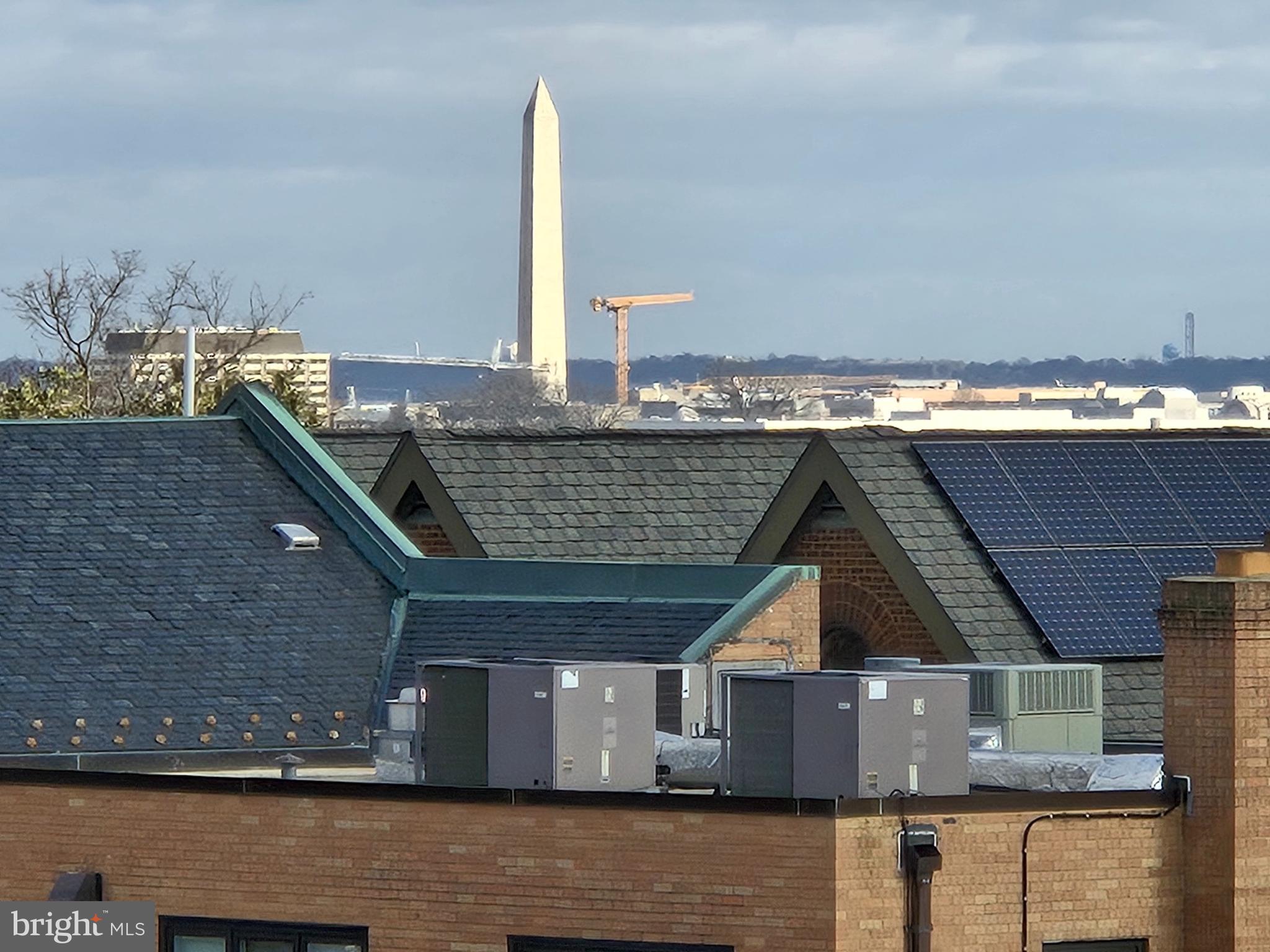 1411 Ridgeview Way Washington, DC 20007 - Photo 50 of 56 a roof deck with a table and a potted plants