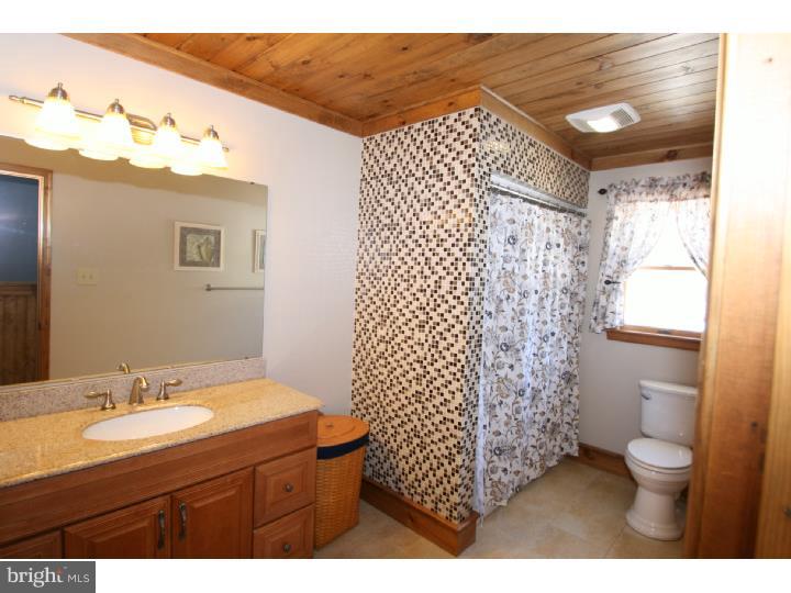 208 Dealtown Road Pittsgrove, NJ 08318 - Photo 15 of 25 Bathroom