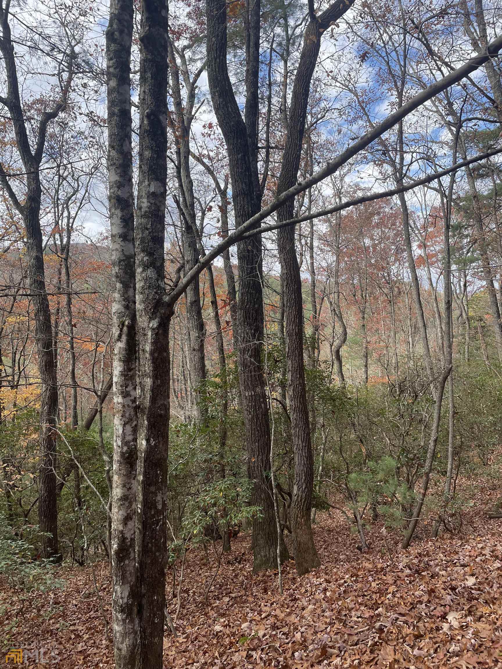 0 Sierra Run, Blairsville, GA 30512 Compass