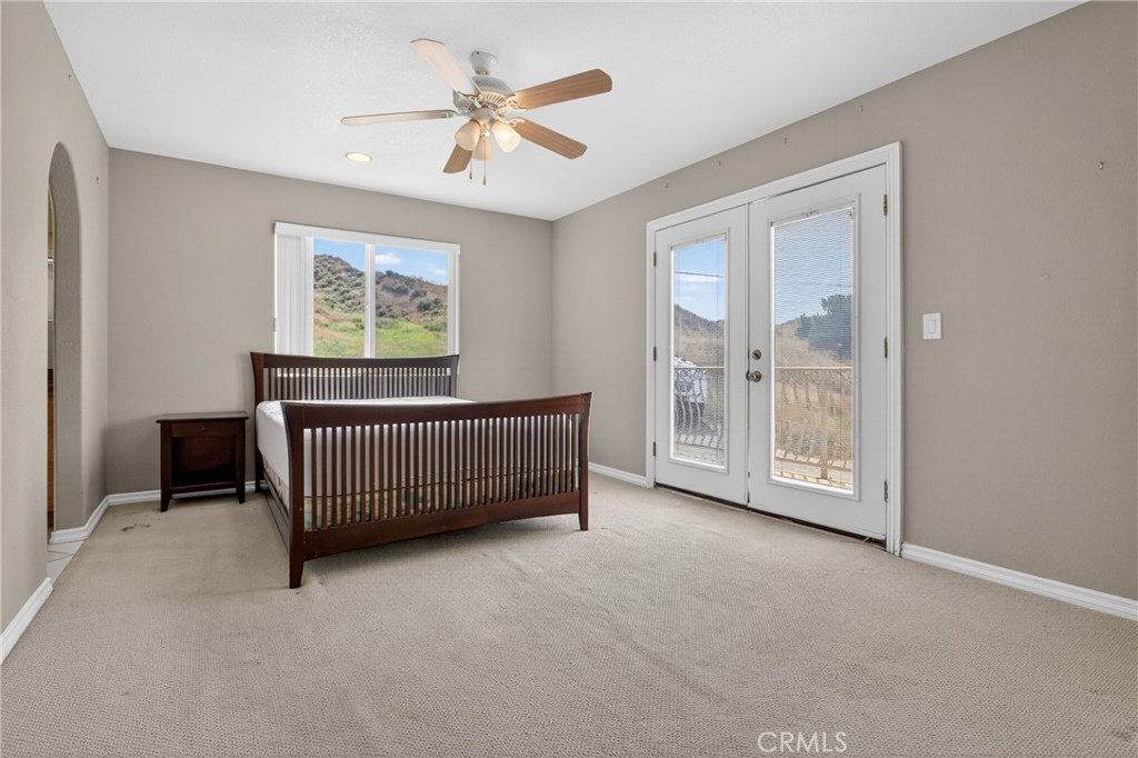 29631 Silver Street Castaic, CA 91384 - Photo 17 of 36 Primary Bedroom with tons of lighting