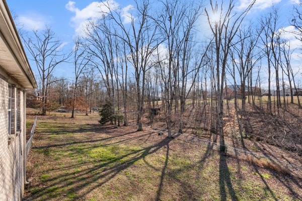 5805 Washer Road Lyles, TN 37098 - Photo 28 of 44 a view of yard with tree in the background
