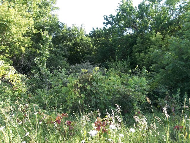 9221 Bunker Hill Road Morrison, IL 61270 - Photo 21 of 25