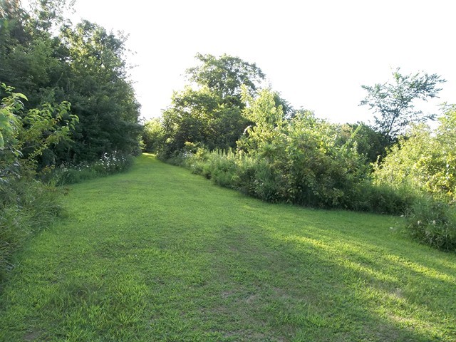 9221 Bunker Hill Road Morrison, IL 61270 - Photo 22 of 25