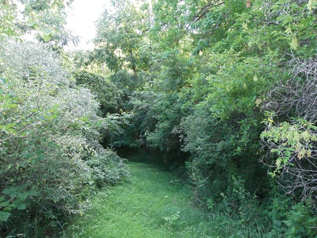 9221 Bunker Hill Road Morrison, IL 61270 - Photo 23 of 25