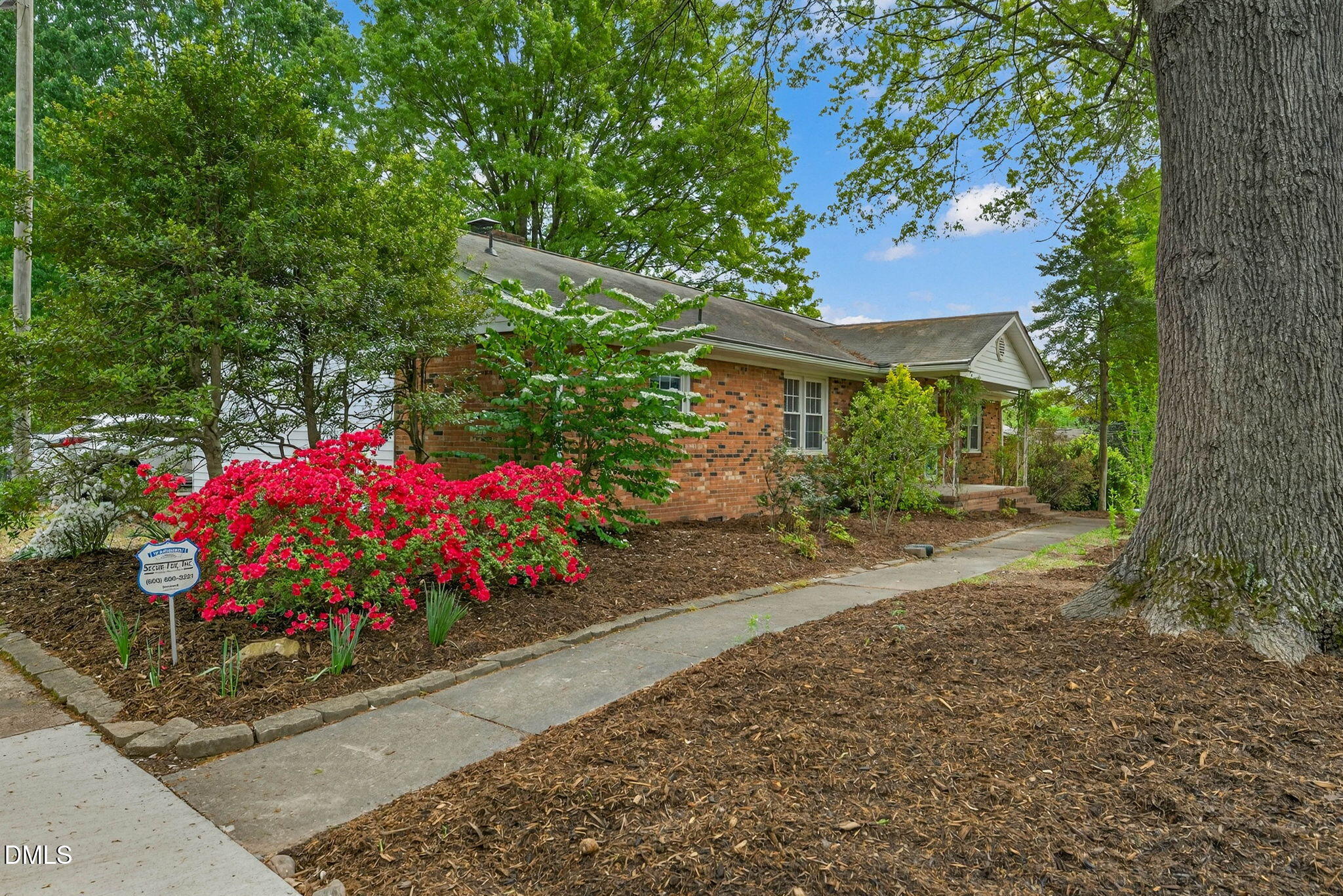 339 Olive Branch Road Durham, NC 27703 - Photo 3 of 56 5-web-or-mls-339 Olive Branch - 5