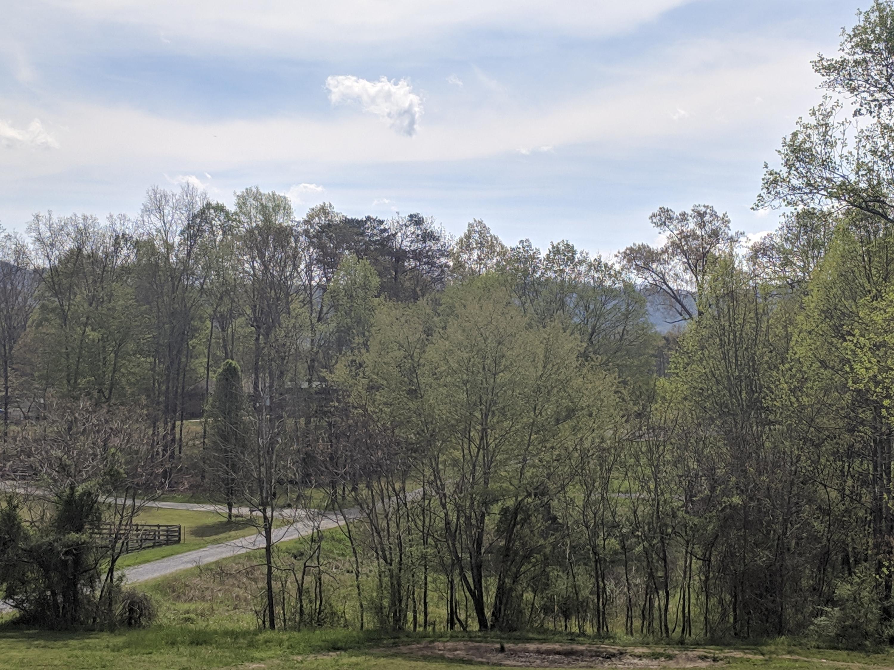4284 Pea Ridge Road Maryville, TN 37804 - Photo 21 of 23 Beautiful View 4284 Pea Ridge
